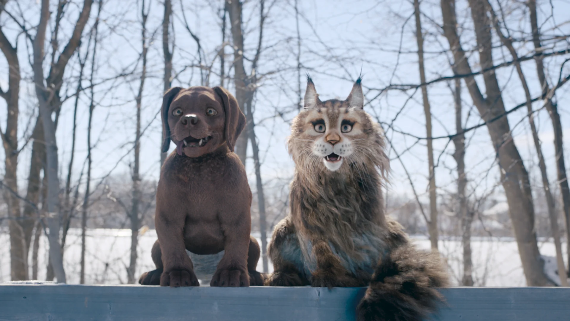 Cat & Dog