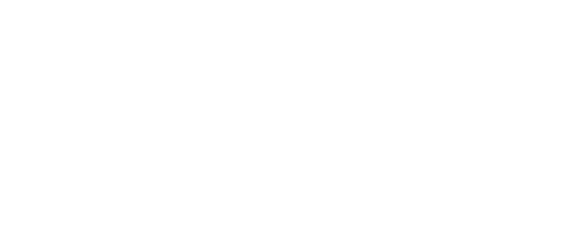 Wild Venice logo
