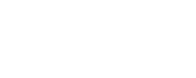 Wild Venice logo