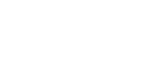 Big Cats logo