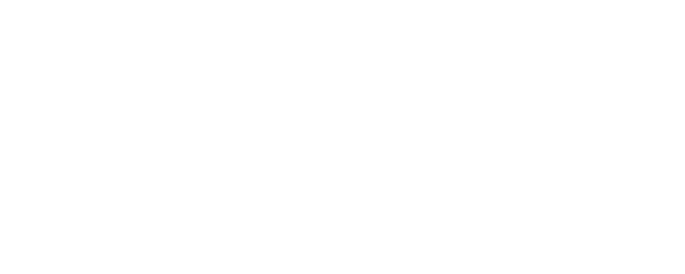 Big Cats logo