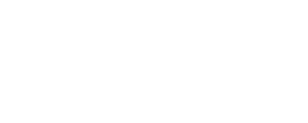 Turtle Hero logo