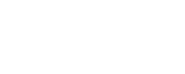 Turtle Hero logo
