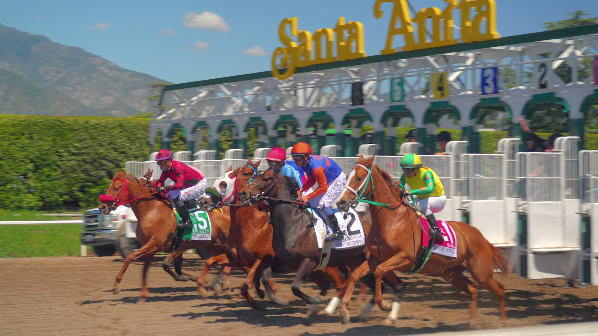 Race For The Crown