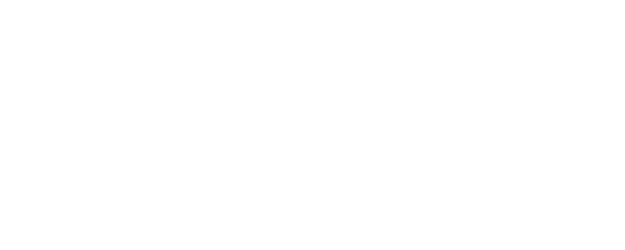2046 logo