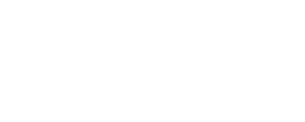 2046 logo