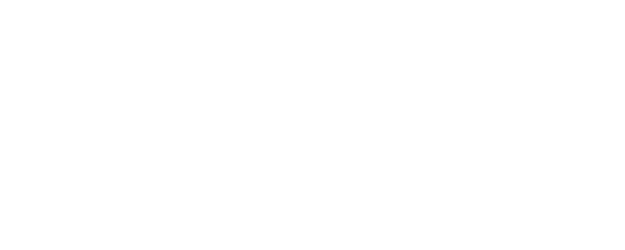 Ashes Of Time Redux logo