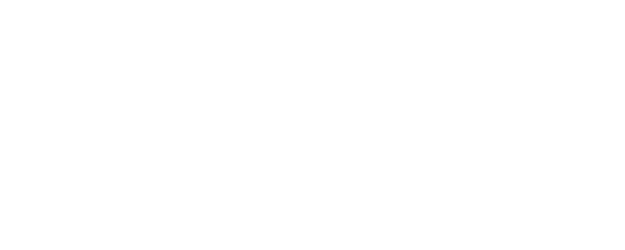 Home2Home logo