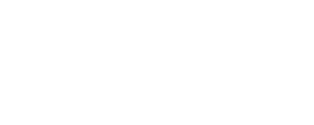 Nice View logo