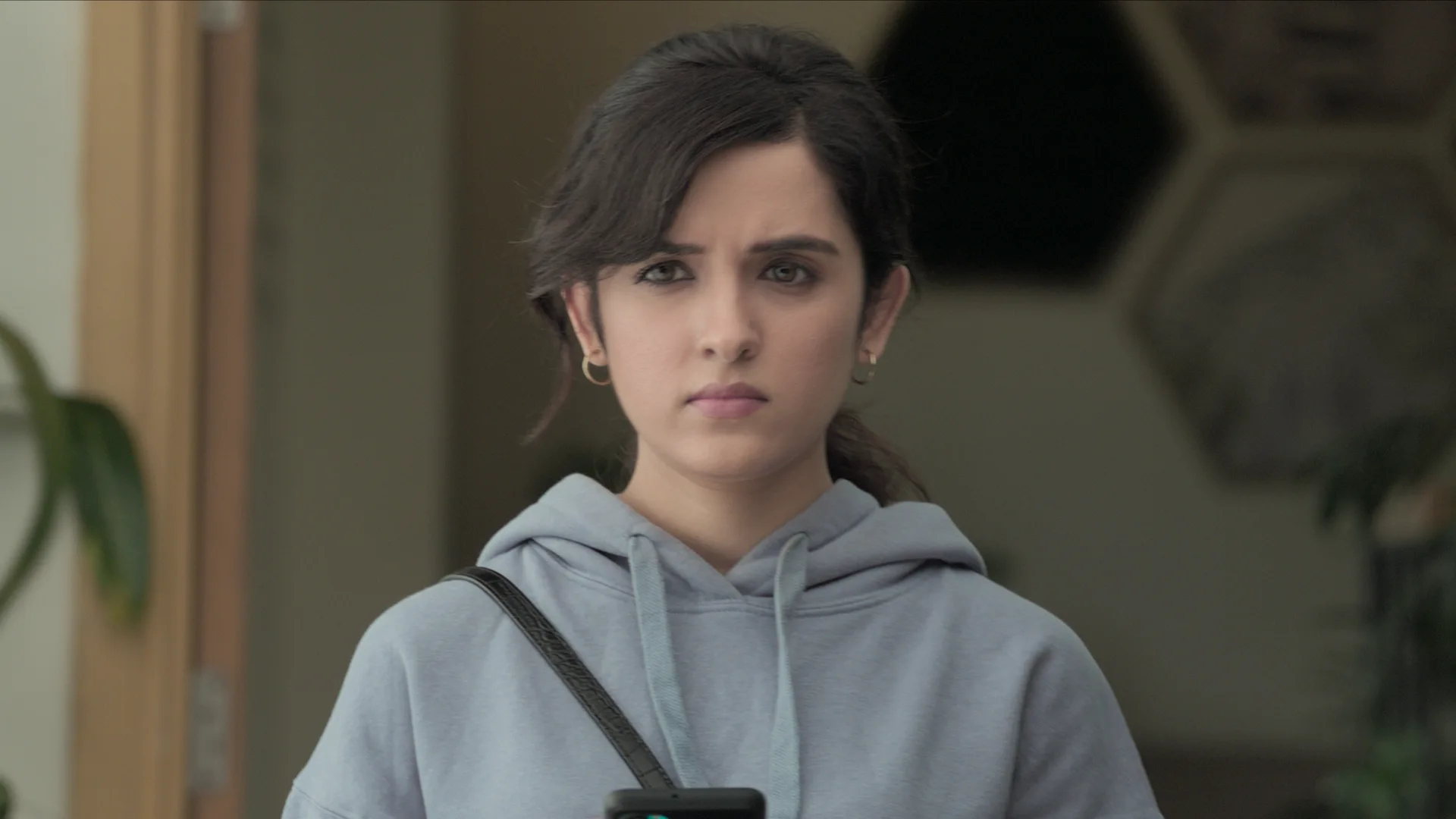 Krishna Vrinda Vihari