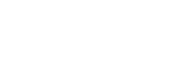 The Art of Passion logo