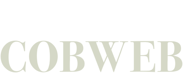 Cobweb logo
