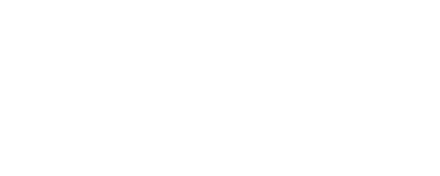 The Silent Twins logo
