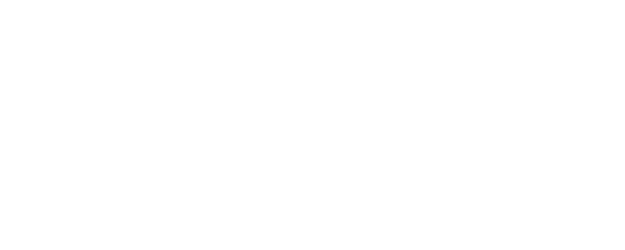 Plane logo