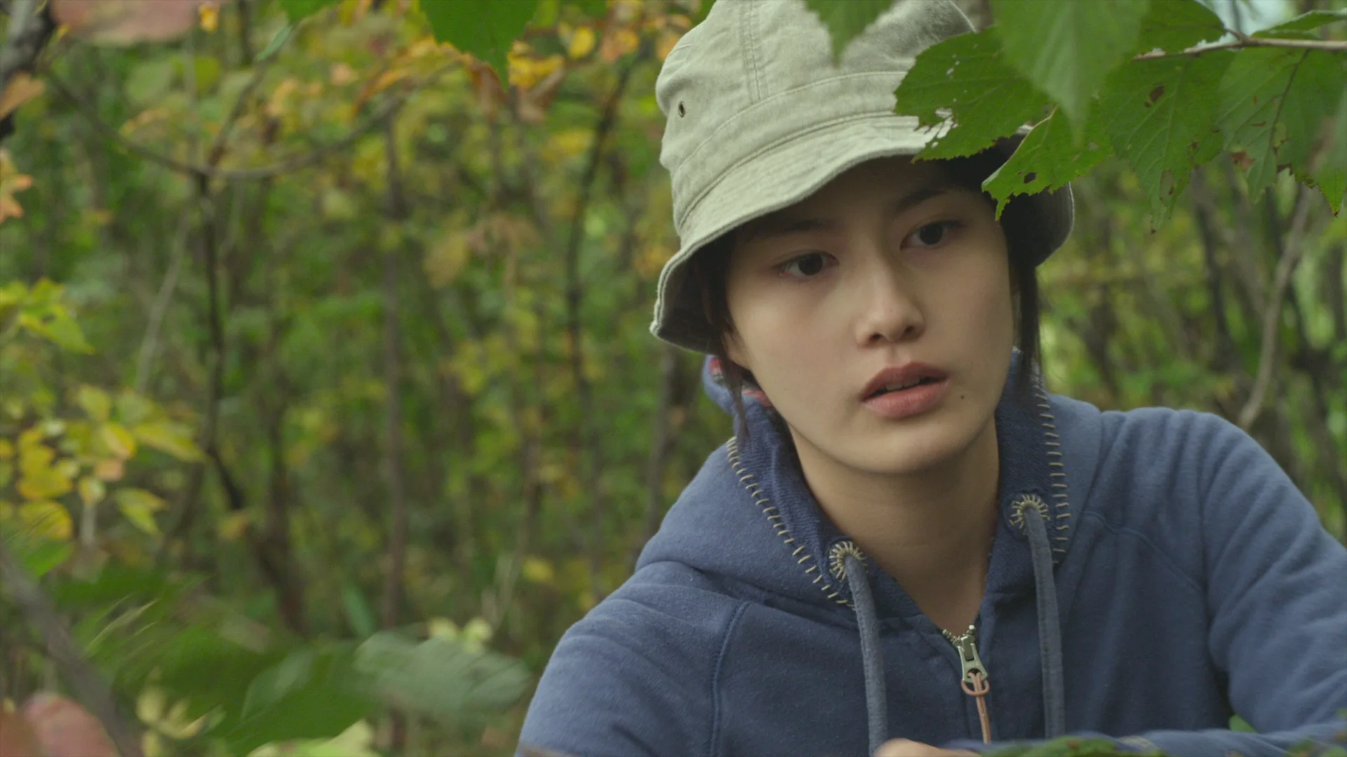 Little Forest: Four Seasons