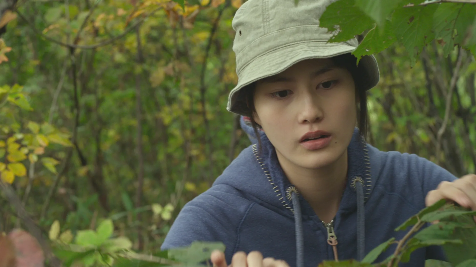 Little Forest: Summer & Autumn