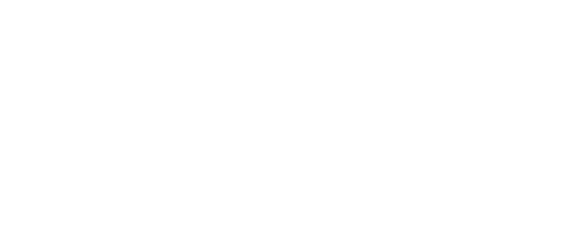 Little Forest: Summer & Autumn logo