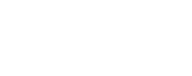 The Lair logo