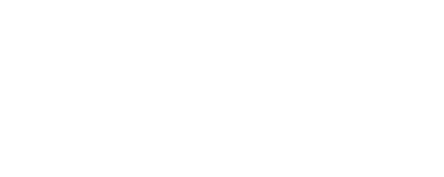 Wifelike logo