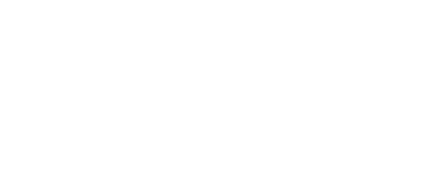 Summit Fever logo