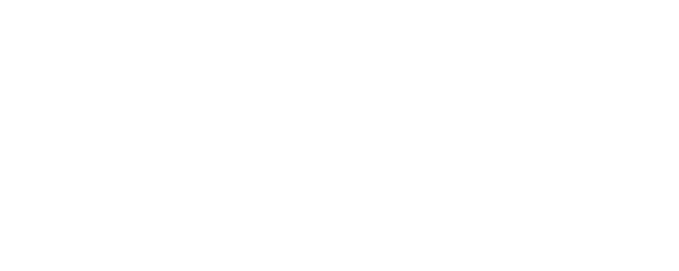 Tiger and Dragon logo