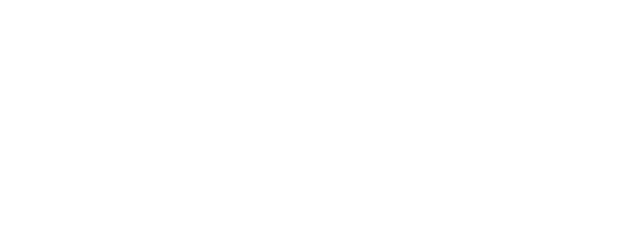 Tiger and Dragon logo