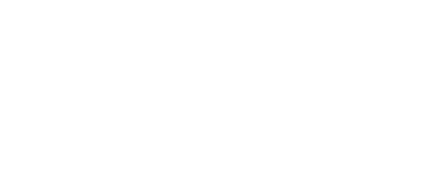 Plum Blossom logo