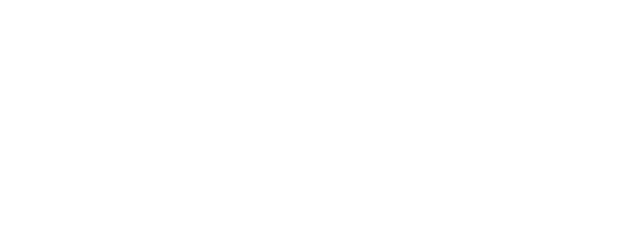 Brave Detectives logo