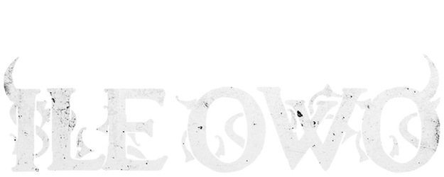 Ile Owo logo