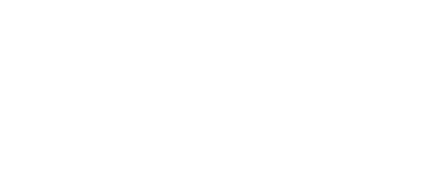 L’ultima notte di Amore logo