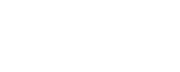 L’ultima notte di Amore logo