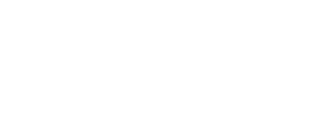 The Rookie logo