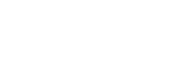 The Rookie logo