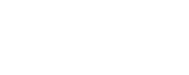 The Bitch logo