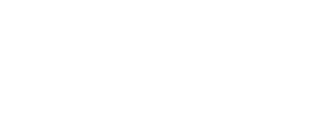 Shadow of the Eagle logo
