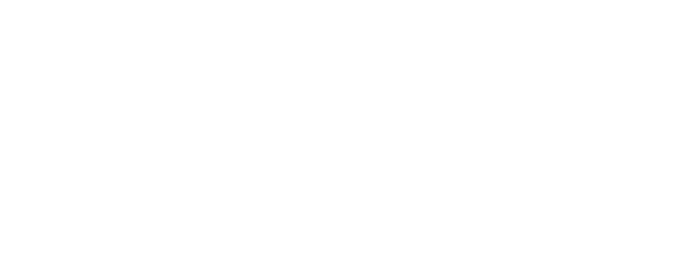 First Voyage logo