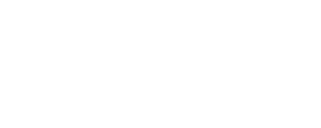 The Night Owl logo