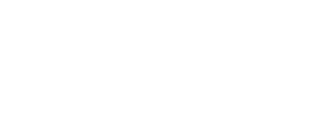 The Night Owl logo