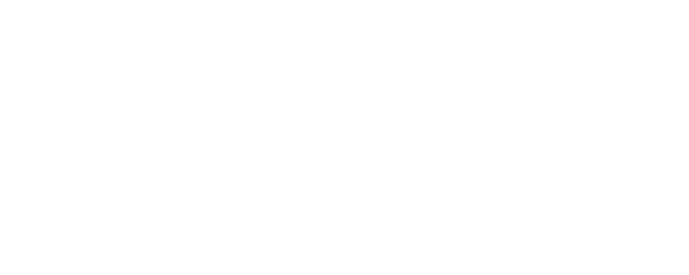 Fisk logo