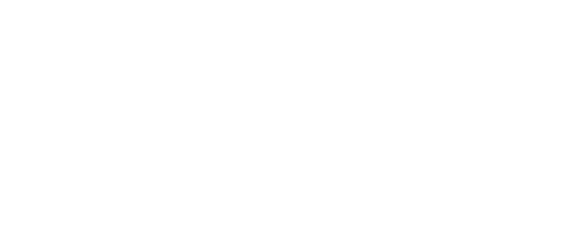 Night, Birds Scream logo