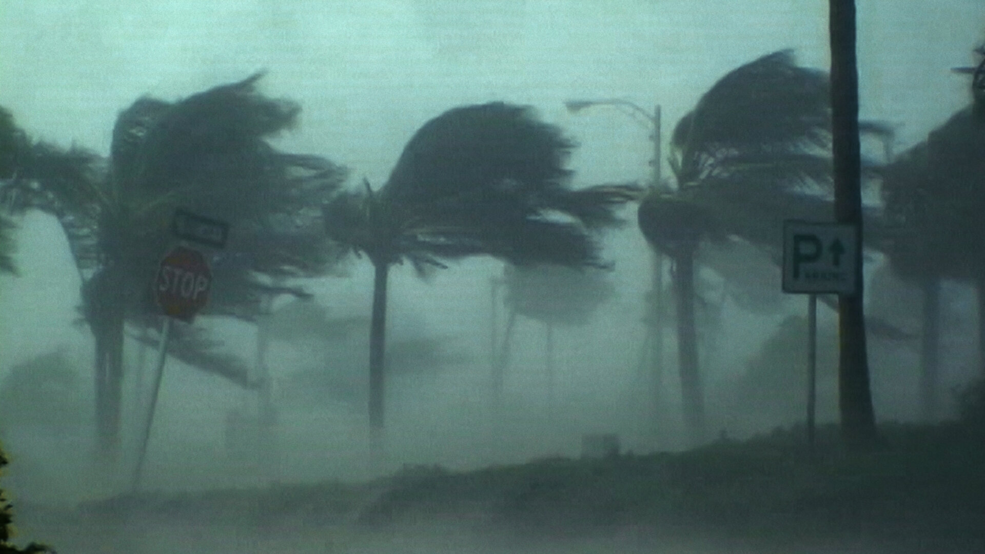 Katrina: Come Hell and High Water