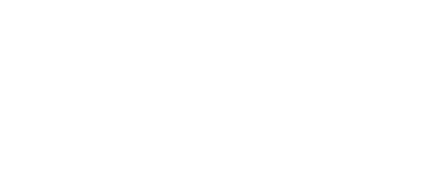 The Cleaning Lady logo