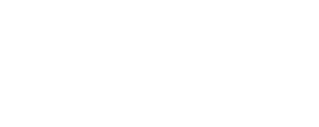 The Cleaning Lady logo