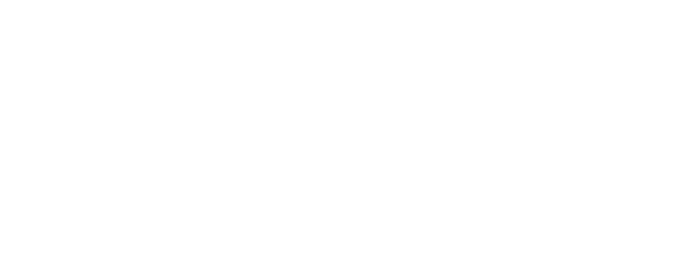 Lost in the Night logo