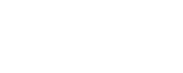 The Wedding Veil Legacy logo