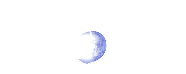 Pale Moon logo