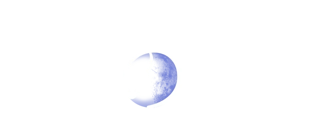 Pale Moon logo