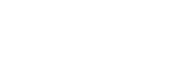 The Bricklayer logo
