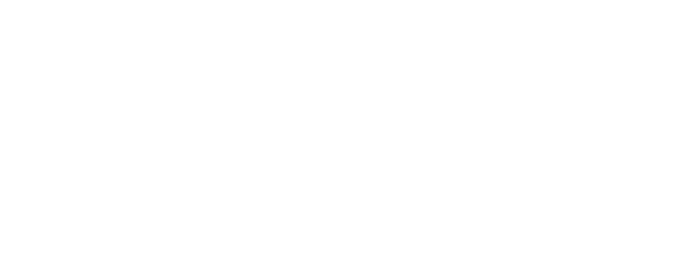 The Bricklayer logo