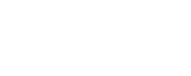 Deive Leonardo: The Answer logo